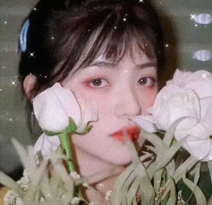 热带复眼
